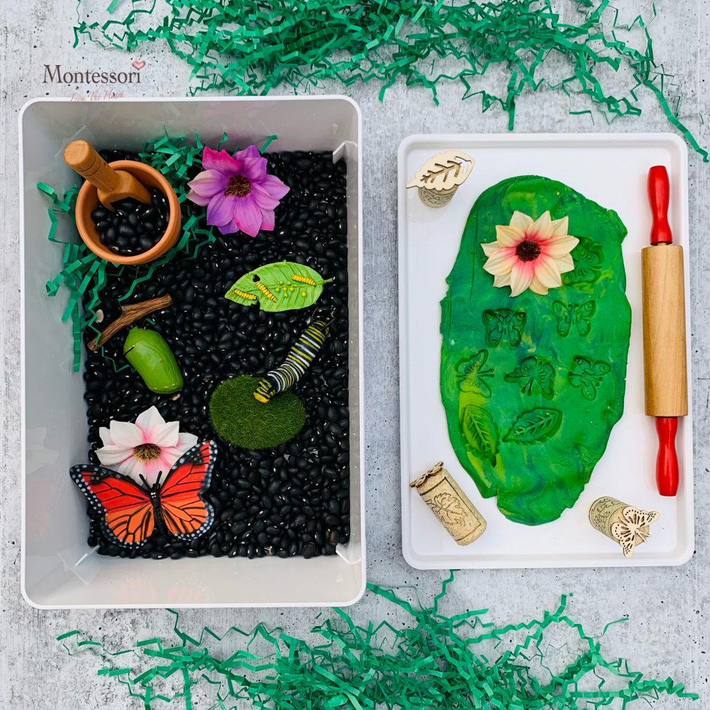 Butterfly Lifecycle Sensory Learning Kit | Montessori From The Heart