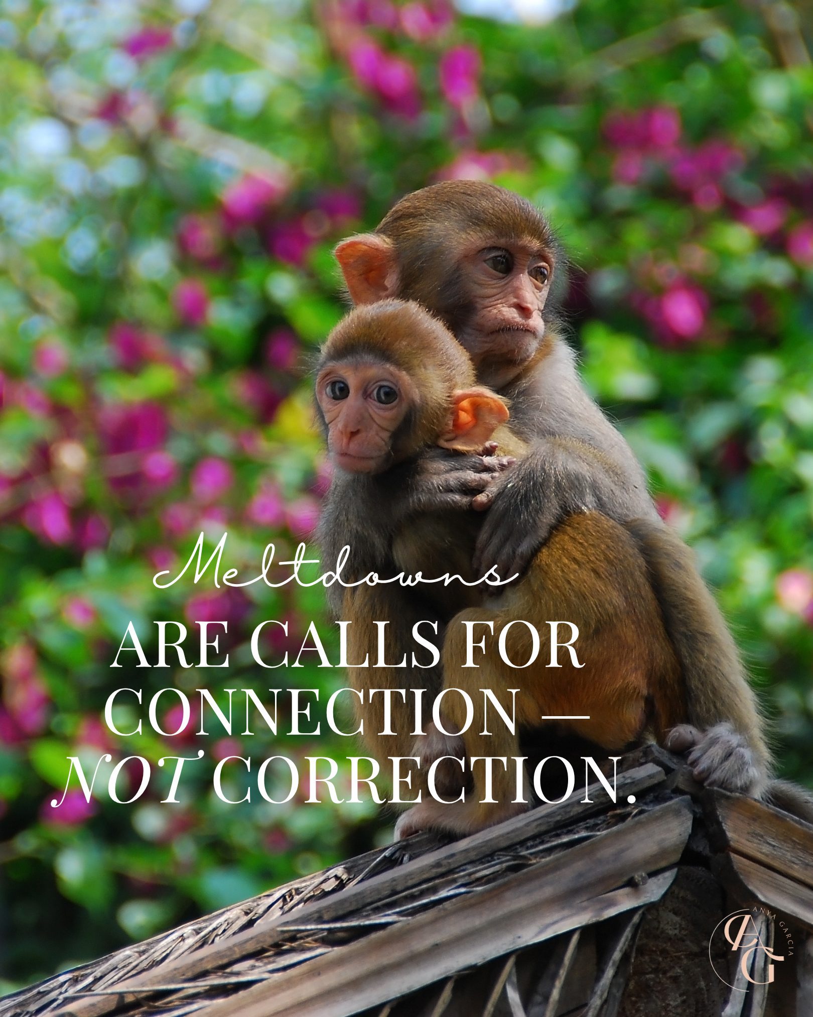 Meltdowns Are Calls For Connection Not Correction | Join Parenting ...