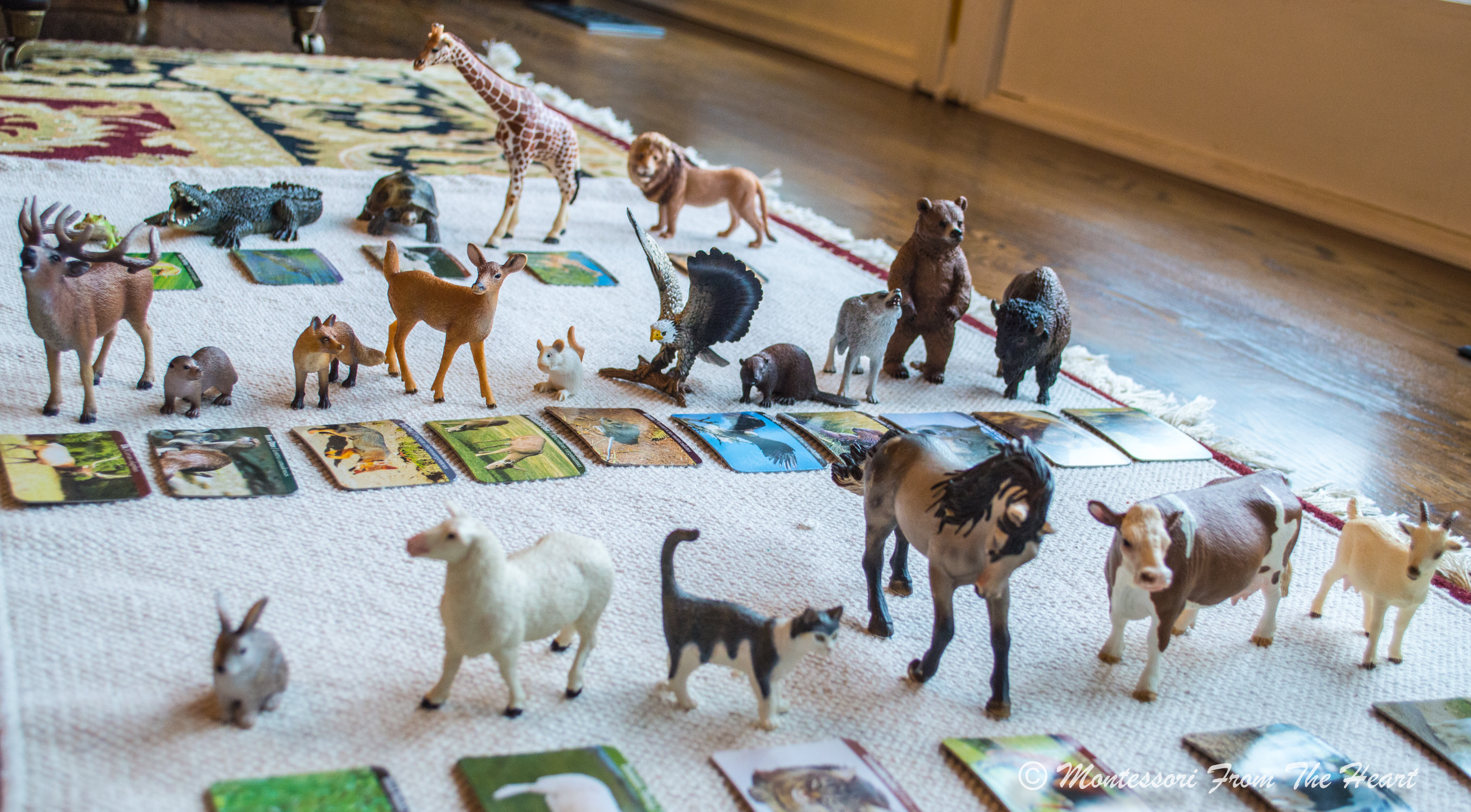 Montessori Endangered Species Animal Match Miniature Figurine w/ Matching Cards 